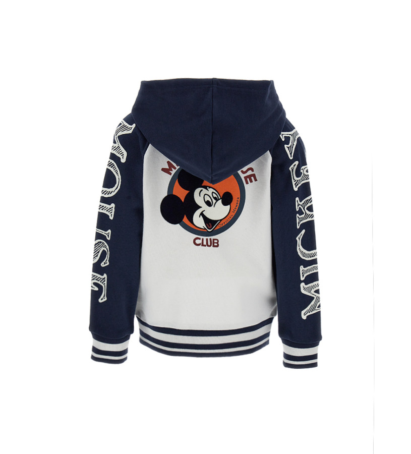 Boy - Disney sweatshirt with prints