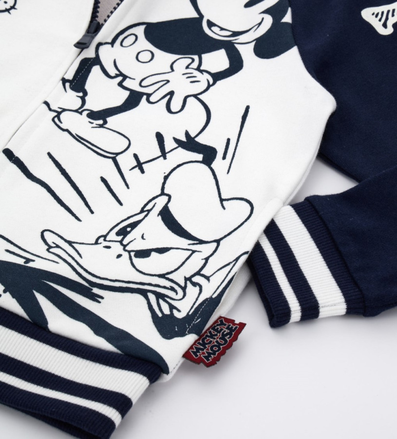 Boy - Disney sweatshirt with prints