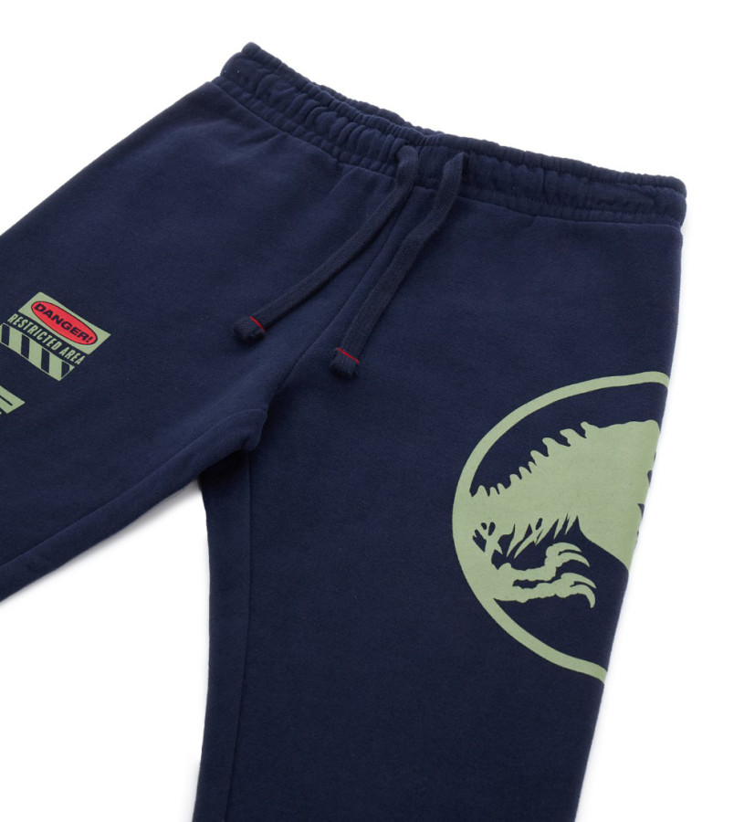 Boy - Jurassic World Pants